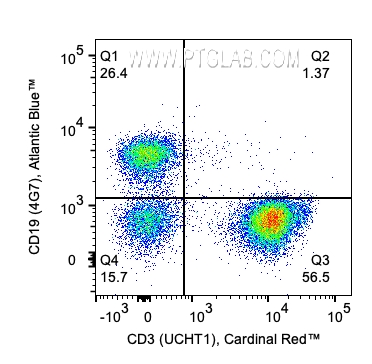 1x10^6 Human PBMCs were stained with PK30012 Human TBNK Basics Panel. CD3 and CD19 expression on lymphocytes is shown. Cells were not fixed. 