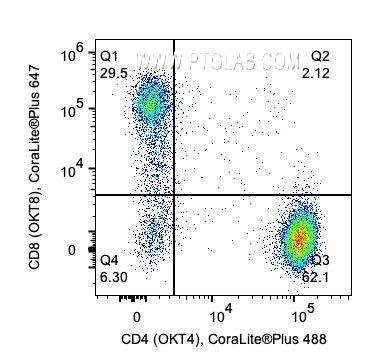 1x10^6 Human PBMCs were stained with PK30012 Human TBNK Basics Panel. CD4 and CD8 expression on CD3+/CD19- lymphocytes are shown. Cells were not fixed. 