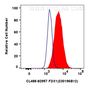 Flow cytometry (FC) experiment of HepG2 cells using CoraLite® Plus 488-conjugated FDX1 Recombinant ant (CL488-82957)