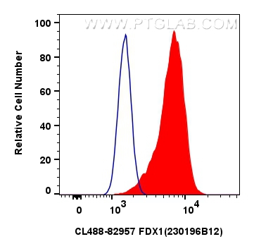 Flow cytometry (FC) experiment of A431 cells using CoraLite® Plus 488-conjugated FDX1 Recombinant ant (CL488-82957)