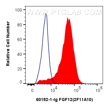 Flow cytometry (FC) experiment of HeLa cells using FGF12 Monoclonal antibody (60152-1-Ig)