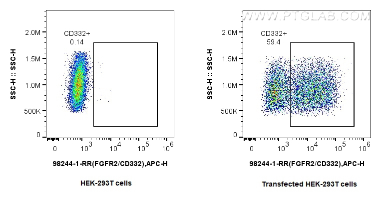 Flow cytometry (FC) experiment of Transfected HEK-293T cells using Anti-Human FGFR2/CD332 Rabbit Recombinant Antibody (98244-1-RR)