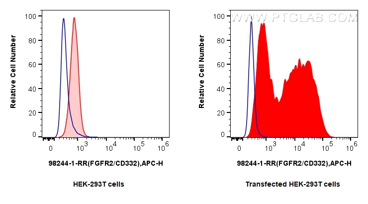 Flow cytometry (FC) experiment of Transfected HEK-293T cells using Anti-Human FGFR2/CD332 Rabbit Recombinant Antibody (98244-1-RR)