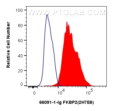 Flow cytometry (FC) experiment of HepG2 cells using FKBP2 Monoclonal antibody (66091-1-Ig)