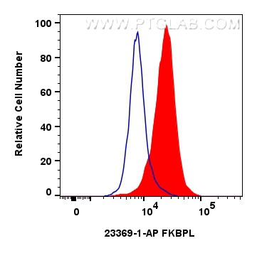 Flow cytometry (FC) experiment of HeLa cells using FKBPL Polyclonal antibody (23369-1-AP)