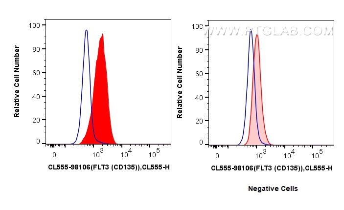 FLT3/CD135