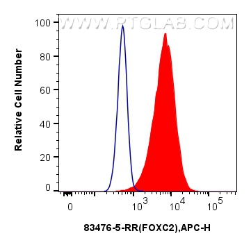 Flow cytometry (FC) experiment of HeLa cells using FOXC2 Recombinant antibody (83476-5-RR)