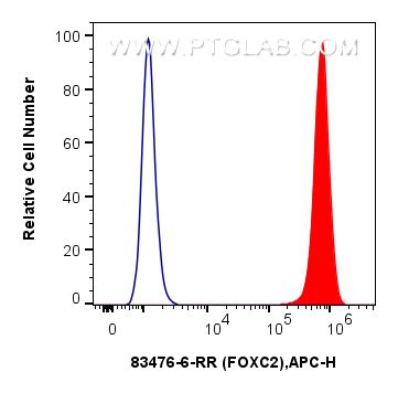 Flow cytometry (FC) experiment of A549 cells using FOXC2 Recombinant antibody (83476-6-RR)