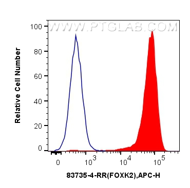 Flow cytometry (FC) experiment of SH-SY5Y cells using FOXK2 Recombinant antibody (83735-4-RR)