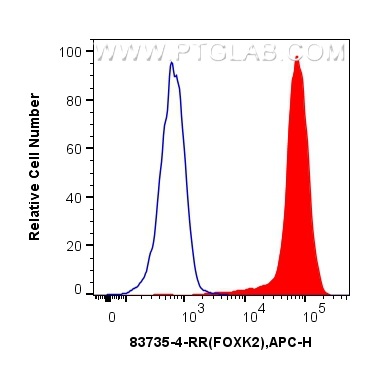 Flow cytometry (FC) experiment of HEK-293T cells using FOXK2 Recombinant antibody (83735-4-RR)