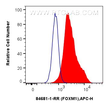 Flow cytometry (FC) experiment of HeLa cells using FOXM1 Recombinant antibody (84681-1-RR)