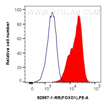 Flow cytometry (FC) experiment of A431 cells using FOXO1 Recombinant antibody (82997-1-RR)