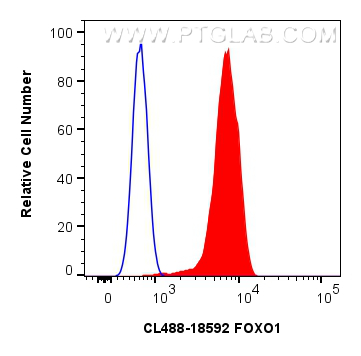 Flow cytometry (FC) experiment of MOLT-4 cells using CoraLite® Plus 488-conjugated FOXO1 Polyclonal ant (CL488-18592)