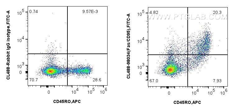 Flow cytometry (FC) experiment of human PBMCs using CoraLite® Plus 488 Anti-Human Fas/CD95 Rabbit Reco (CL488-98034)