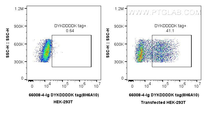 Flow cytometry (FC) experiment of Transfected HEK-293 cells using DYKDDDDK tag Monoclonal antibody (Binds to FLAG® t (66008-4-Ig)