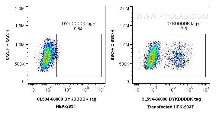 Flow cytometry (FC) experiment of Transfected HEK-293T cells using CoraLite®594-conjugated DYKDDDDK Monoclonal antibo (CL594-66008)