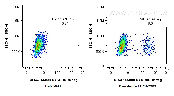 Flow cytometry (FC) experiment of Transfected HEK-293T cells using CoraLite® Plus 647-conjugated DYKDDDDK tag Monoclo (CL647-66008)