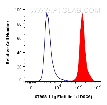 Flow cytometry (FC) experiment of Raji cells using Flotillin 1 Monoclonal antibody (67968-1-Ig)