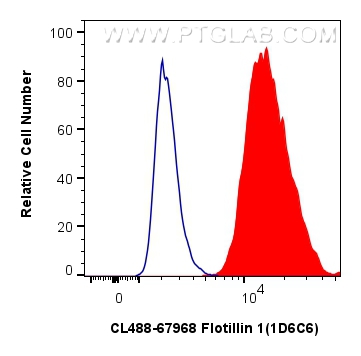 Flow cytometry (FC) experiment of Raji cells using CoraLite® Plus 488-conjugated Flotillin 1 Monoclon (CL488-67968)