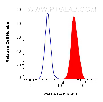 Flow cytometry (FC) experiment of HeLa cells using G6PD Polyclonal antibody (25413-1-AP)