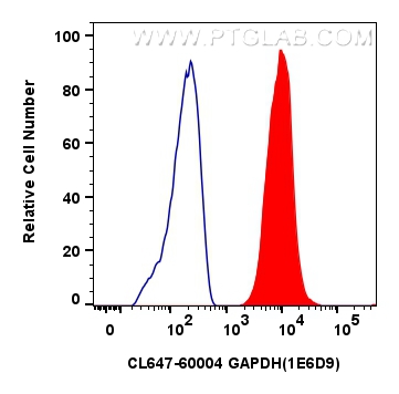 Flow cytometry (FC) experiment of HeLa cells using CoraLite® Plus 647-conjugated GAPDH Monoclonal ant (CL647-60004)