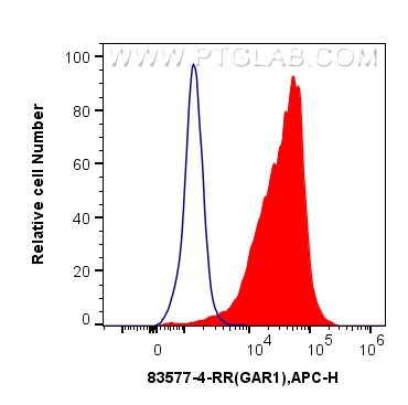 Flow cytometry (FC) experiment of K562 using GAR1 Recombinant antibody (83577-4-RR)