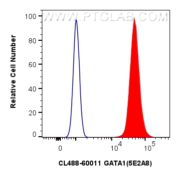 Flow cytometry (FC) experiment of Jurkat cells using CoraLite® Plus 488-conjugated GATA1 Monoclonal ant (CL488-60011)