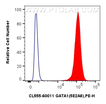 Flow cytometry (FC) experiment of Jurkat cells using CoraLite®555-conjugated GATA1 Monoclonal antibody (CL555-60011)