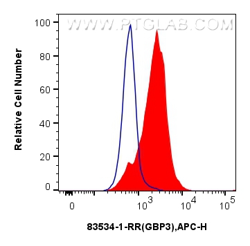 Flow cytometry (FC) experiment of HT-29 cells using GBP3 Recombinant antibody (83534-1-RR)