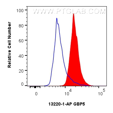 Flow cytometry (FC) experiment of MCF-7 cells using GBP5 Polyclonal antibody (13220-1-AP)