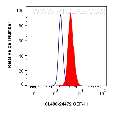 Flow cytometry (FC) experiment of HEK-293T cells using CoraLite® Plus 488-conjugated GEF-H1 Polyclonal an (CL488-24472)