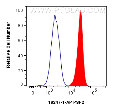 Flow cytometry (FC) experiment of Jurkat cells using GINS2 Polyclonal antibody (16247-1-AP)