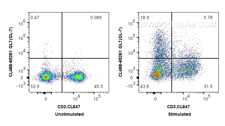 Flow cytometry (FC) experiment of Balb/c mouse splenocytes using CoraLite® Plus 488 Anti-Mouse GL7 (GL-7) (CL488-65261)