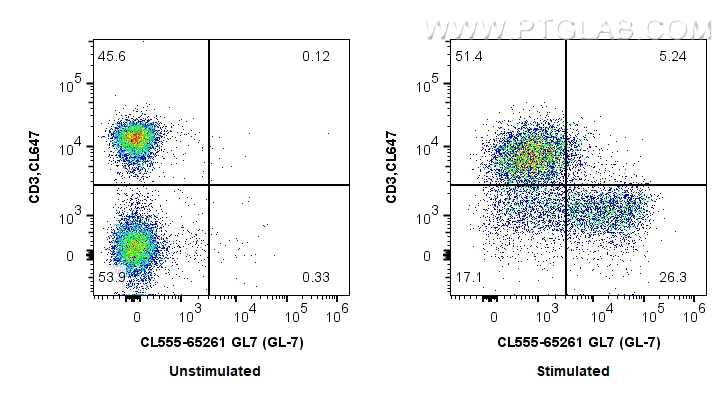 Flow cytometry (FC) experiment of mouse splenocytes using CoraLite® Plus 555 Anti-Mouse GL7 (GL-7) (CL555-65261)