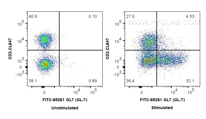 Flow cytometry (FC) experiment of mouse splenocytes using FITC Plus Anti-Mouse GL7 (GL-7) (FITC-65261)