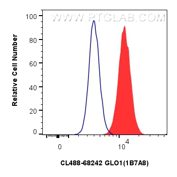 Flow cytometry (FC) experiment of HeLa cells using CoraLite® Plus 488-conjugated GLO1 Monoclonal anti (CL488-68242)