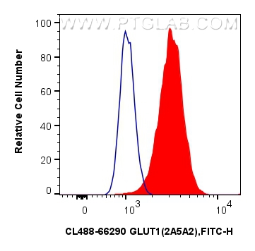 Flow cytometry (FC) experiment of Jurkat cells using CoraLite® Plus 488-conjugated GLUT1 Monoclonal ant (CL488-66290)
