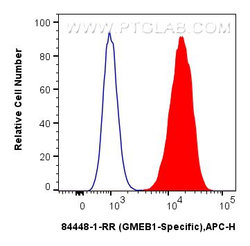 Flow cytometry (FC) experiment of HeLa cells using GMEB1-Specific Recombinant antibody (84448-1-RR)