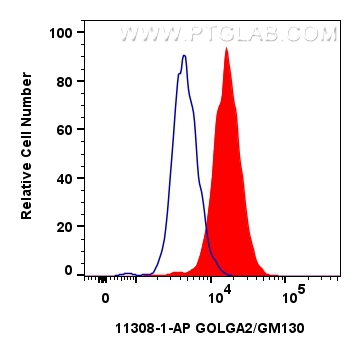 Flow cytometry (FC) experiment of HepG2 cells using GOLGA2/GM130 Polyclonal antibody (11308-1-AP)