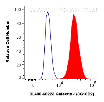 Flow cytometry (FC) experiment of U2OS cells using CoraLite® Plus 488-conjugated Galectin-1 Monoclona (CL488-60223)