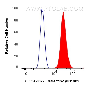 Flow cytometry (FC) experiment of U2OS cells using CoraLite®594-conjugated Galectin-1 Monoclonal anti (CL594-60223)