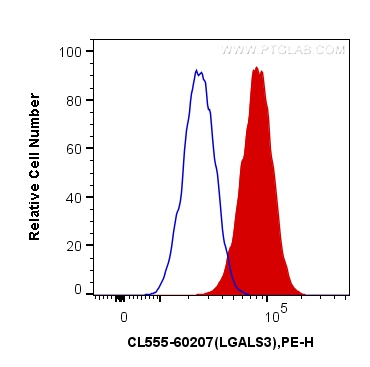 Flow cytometry (FC) experiment of HeLa cells using CoraLite®555-conjugated Galectin-3 Monoclonal anti (CL555-60207)