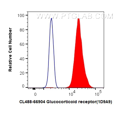 Flow cytometry (FC) experiment of HeLa cells using CoraLite® Plus 488-conjugated Glucocorticoid recep (CL488-66904)