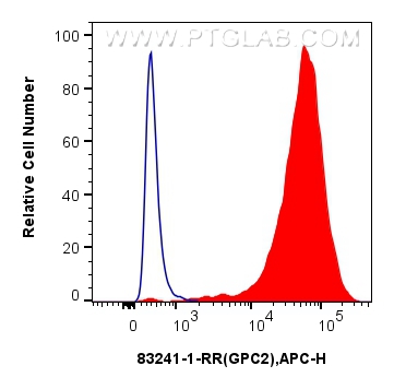 Flow cytometry (FC) experiment of SH-SY5Y cells using Glypican 2 Recombinant antibody (83241-1-RR)