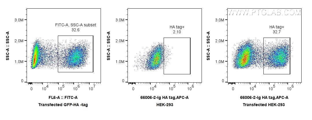 Flow cytometry (FC) experiment of Transfected HEK-293 cells using HA Tag Monoclonal antibody (66006-2-Ig)