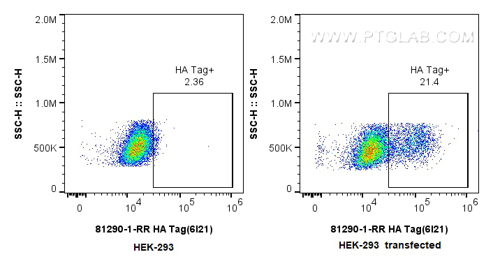 Flow cytometry (FC) experiment of Transfected HEK-293 cells using HA Tag Recombinant antibody (81290-1-RR)