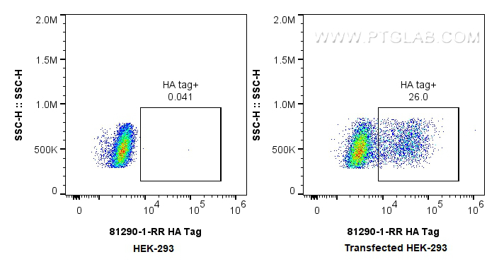 Flow cytometry (FC) experiment of Transfected HEK-293 cells using HA Tag Recombinant antibody (81290-1-RR)