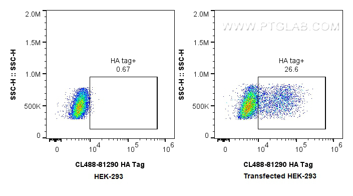 Flow cytometry (FC) experiment of Transfected HEK-293 cells using CoraLite® Plus 488-conjugated HA Tag Recombinant a (CL488-81290)
