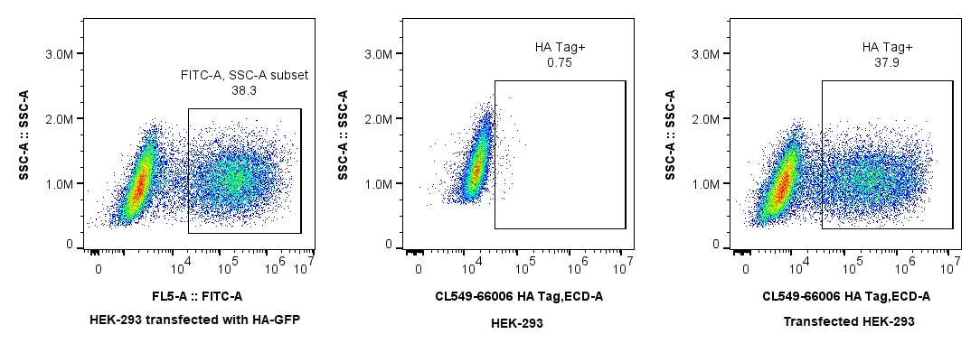 Flow cytometry (FC) experiment of Transfected HEK-293 cells using CoraLite®594-conjugated HA Tag Monoclonal antibody (CL594-66006)