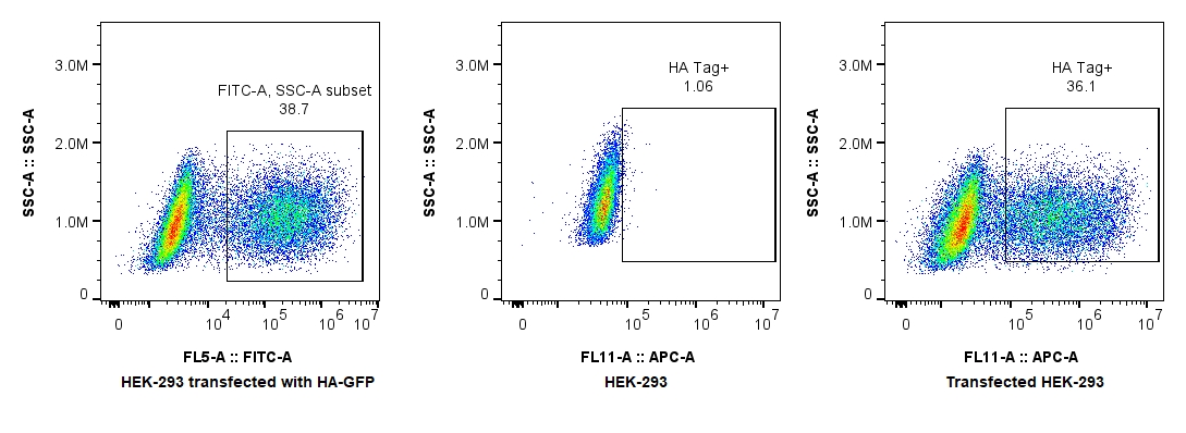 Flow cytometry (FC) experiment of Transfected HEK-293 cells using CoraLite® Plus 647-conjugated HA Tag Monoclonal an (CL647-66006)
